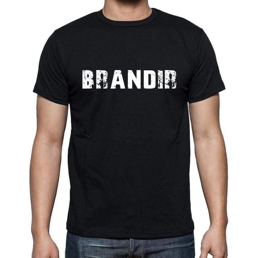 Brandir French Dictionary Mens Short Sleeve Round Neck T-Shirt 00009 - Casual