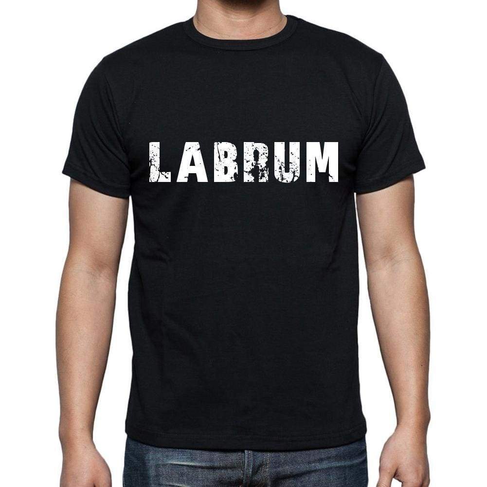 Labrum Mens Short Sleeve Round Neck T-Shirt 00004 - Casual